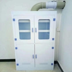 東莞（wǎn）實驗室PP試劑櫃 藥品櫃 PP實驗（yàn）台